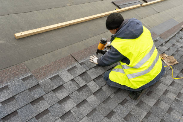Best Roof Maintenance Services  in Stockbridge, MI